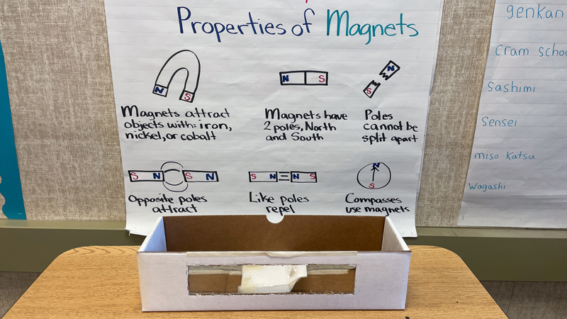 Third-grade STEAM project